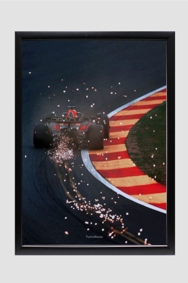 RedBull Racing 1