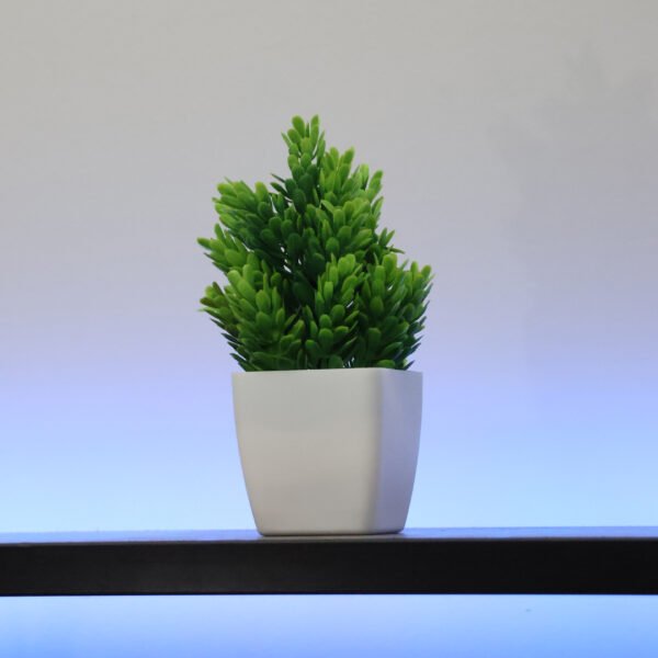 Drift Edge + LED Lights + Potted Plant